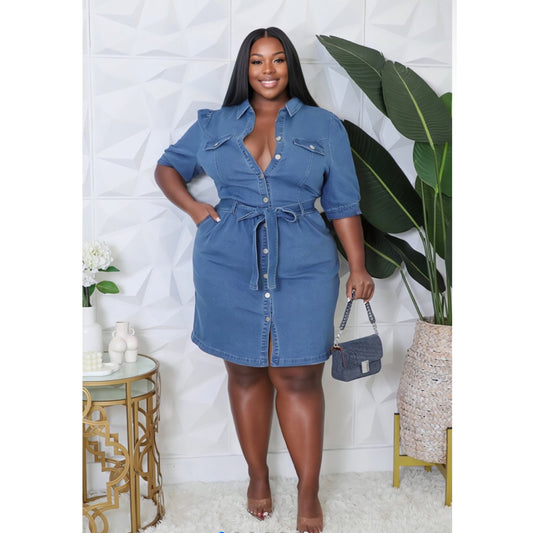 Plus size denim button down dress