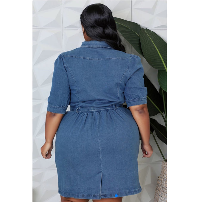 Plus size denim button down dress